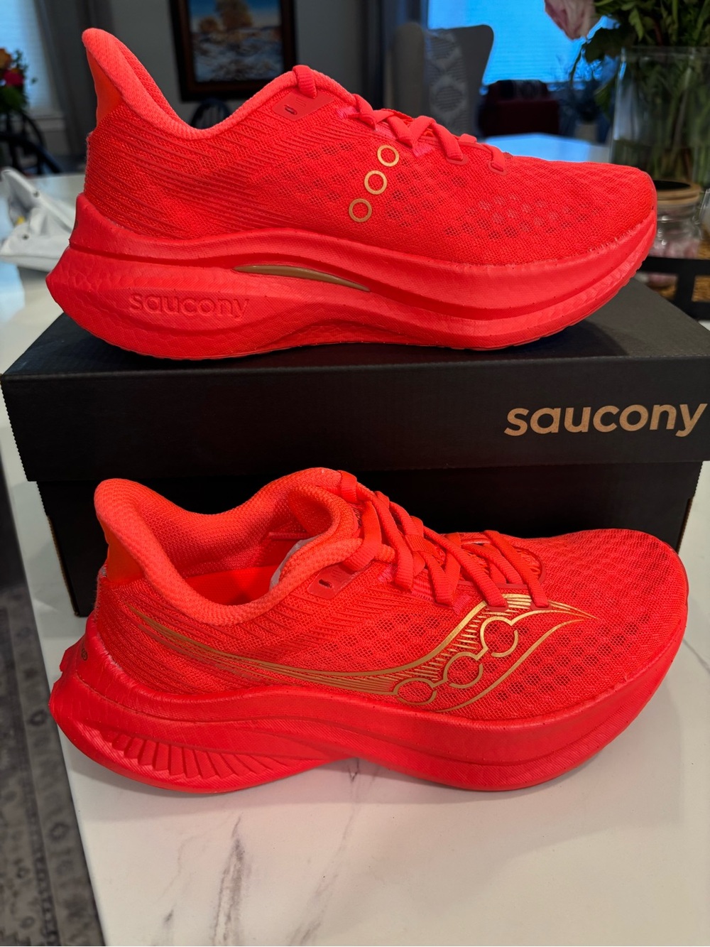 Sauciny Endorphin Speed 5
